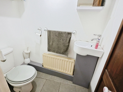 Picture 8
